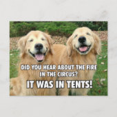 Carte Postale (Caché) Funny Golden Retriever Circus Fire Joke (Devant)