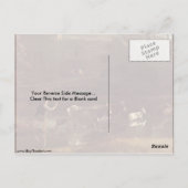 Carte Postale Cachée Par Claude Lorrain (Dos)