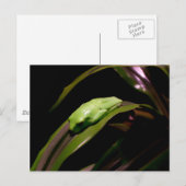 Carte postale "Cacher à vue ouverte" (Devant / Derrière)