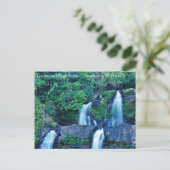 Carte Postale Cachoeira Véu de Noiva (Debout devant)