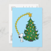 Carte Postale Cachou | Décoration de l'arbre de Noël (Devant / Derrière)