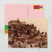 Carte Postale cacophanie de mer (Devant / Derrière)