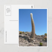 Carte Postale cacti d'Uyuni vers le haut (Devant / Derrière)