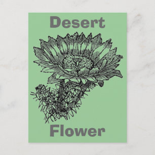 Carte postale Cactus