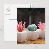 Carte Postale Cactus (Devant / Derrière)