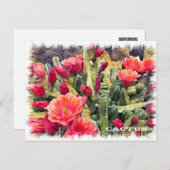 Carte Postale Cactus (Devant / Derrière)