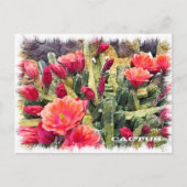 Carte Postale Cactus (Devant)