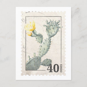 Carte postale Cactus