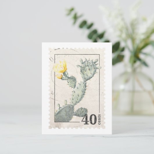 Carte postale Cactus (Debout devant)