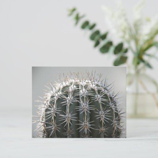 Carte Postale Cactus (Debout devant)