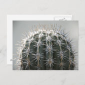 Carte Postale Cactus (Devant / Derrière)