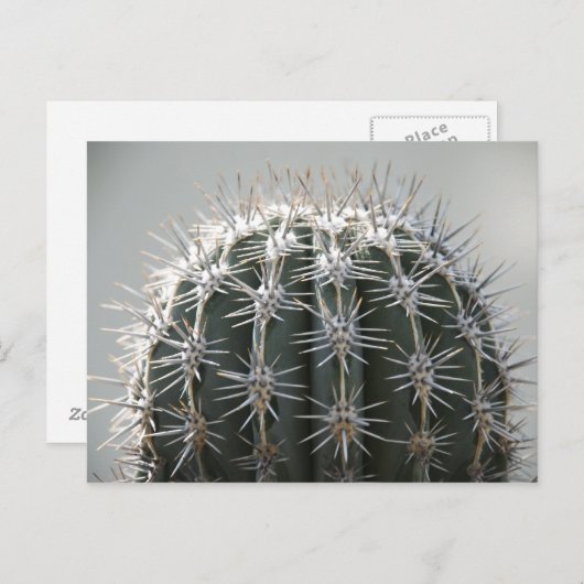 Carte Postale Cactus (Devant / Derrière)
