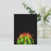 Carte Postale Cactus (Debout devant)