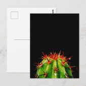Carte Postale Cactus (Devant / Derrière)