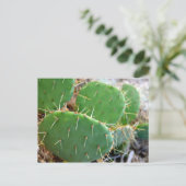 Carte Postale Cactus (Debout devant)