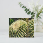 Carte postale Cactus (Debout devant)