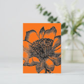 Carte postale Cactus (Debout devant)