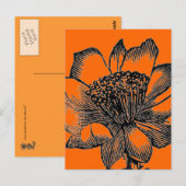 Carte postale Cactus (Devant / Derrière)