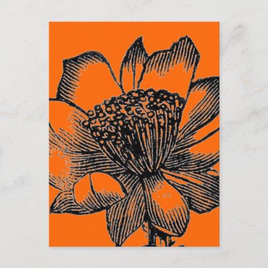 Carte postale Cactus (Devant)