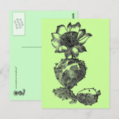 Carte postale cactus (Devant / Derrière)