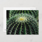 Carte Postale Cactus (Devant / Derrière)