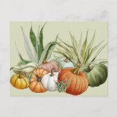 Carte Postale Cactus à citrouille et plantes aériennes Aquarelle (Devant)