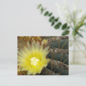 Carte Postale Cactus à fleurs jaunes (Debout devant)
