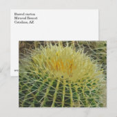 Carte postale Cactus art #1 (Devant / Derrière)