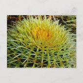Carte postale Cactus art #2 (Devant)