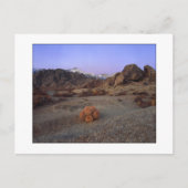 Carte Postale "Cactus Avec Vue" - Grand Angle (Devant)