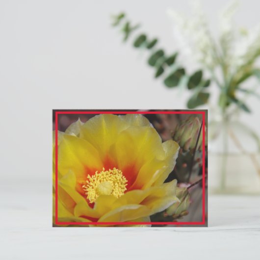 Carte Postale Cactus Bloom (Debout devant)