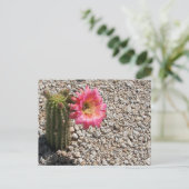 Carte Postale Cactus Bloom (Debout devant)