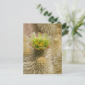 Carte Postale Cactus Bloom (Debout devant)