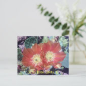 Carte Postale Cactus Bloom, Sedona, AZ (Debout devant)