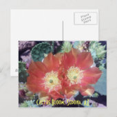 Carte Postale Cactus Bloom, Sedona, AZ (Devant / Derrière)