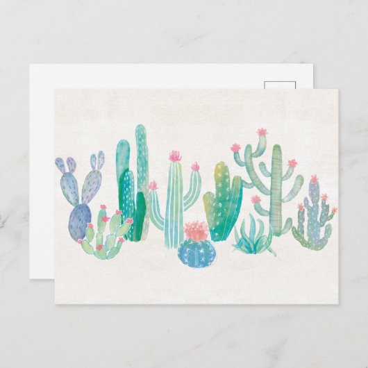 Carte Postale Cactus bohémien (Devant / Derrière)