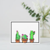Carte Postale Cactus cactus cactus succulents (Debout devant)