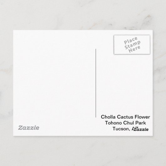 Carte Postale Cactus Cholla en floraison (Dos)