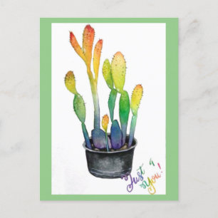 Carte Postale Cactus colorés