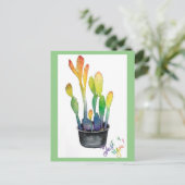 Carte Postale Cactus colorés (Debout devant)