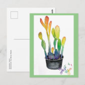 Carte Postale Cactus colorés (Devant / Derrière)