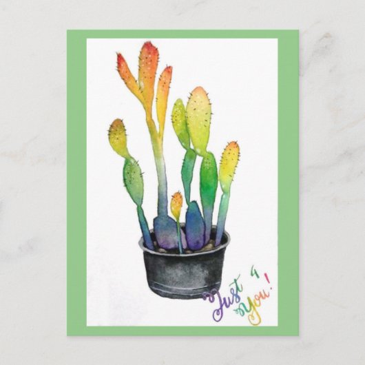Carte Postale Cactus colorés (Devant)