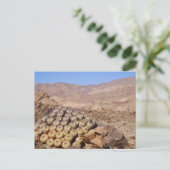 Carte Postale Cactus dans le désert d'Atacama, Chili (Debout devant)