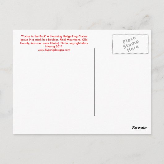 Carte Postale Cactus dans le Rocher (Dos)