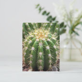 Carte Postale Cactus de l'Arizona (Debout devant)