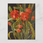 Carte Postale Cactus de Noël | Christian Möllback (Devant)