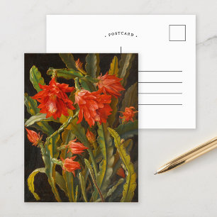 Carte Postale Cactus de Noël   Christian Möllback