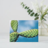 Carte Postale Cactus de Prickley (Debout devant)