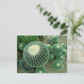 Carte Postale Cactus Dessert (Debout devant)