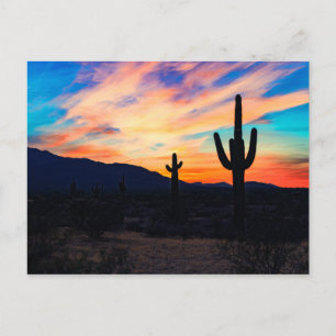 Carte Postale Cactus du désert au coucher du soleil Crépuscule